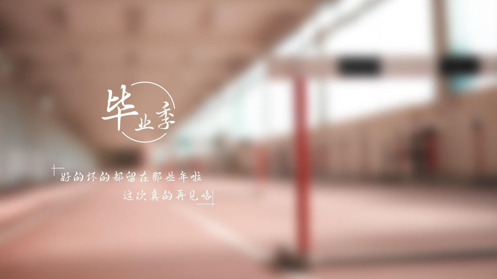 德甲“黑马”球队逐渐崭露头角，德甲俱乐部球队