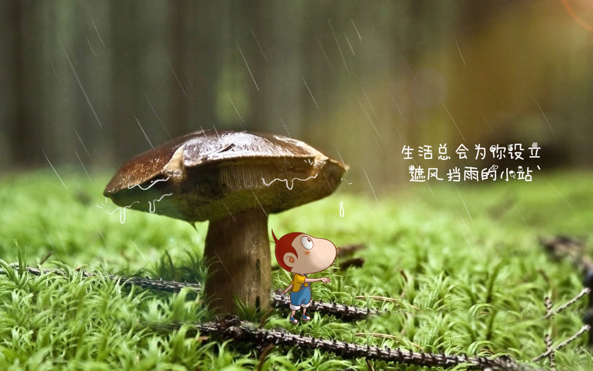 “费尔南多·比亚尔巴的全能球技,阿根廷橄榄球的未来”