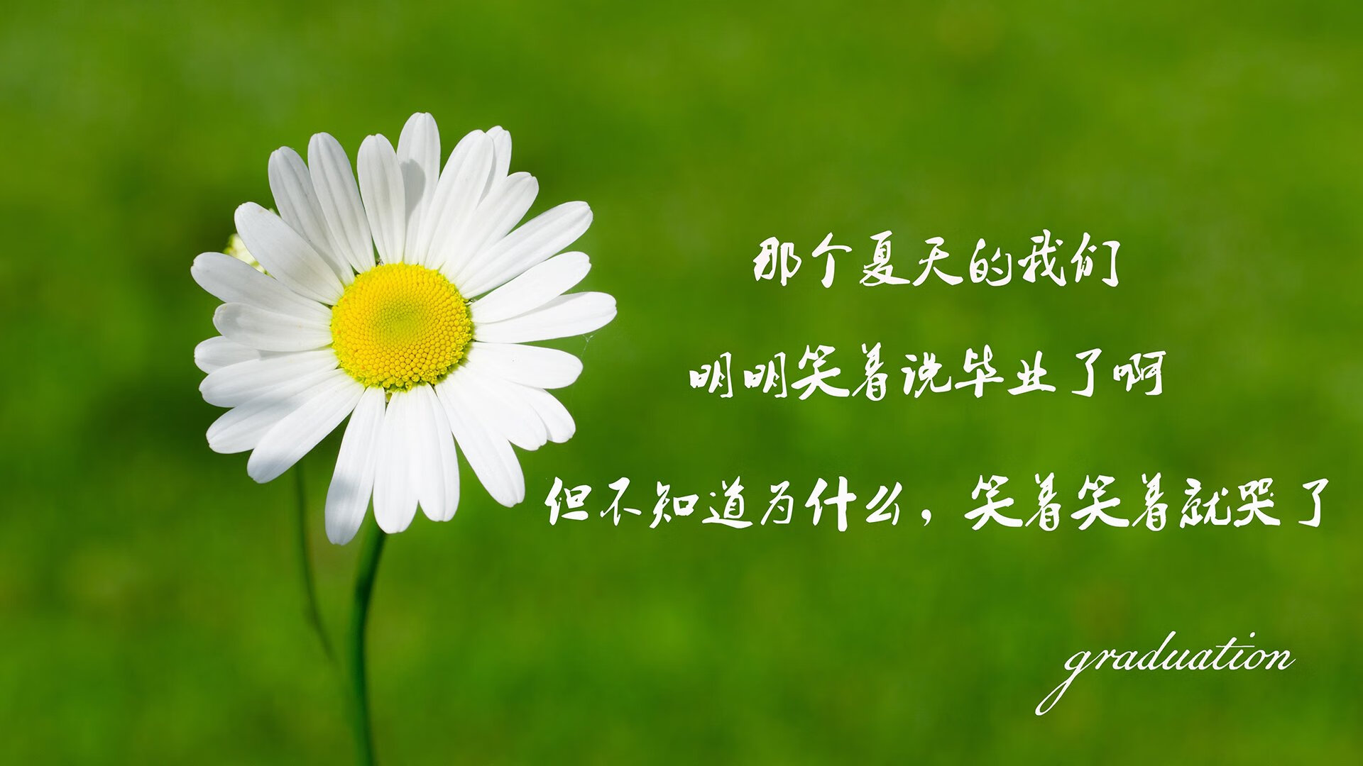 羚羊队的防守战术:不断压迫对方,限制对手进攻空间,羚羊厉害吗