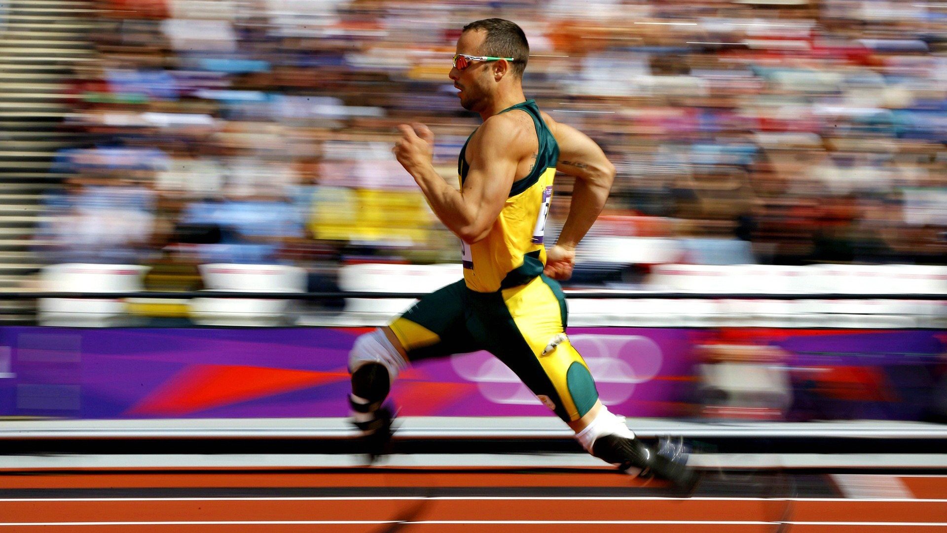 开云集团中国官网-_水上飞行秀：速度与优雅的运动展演_，水上飞项目